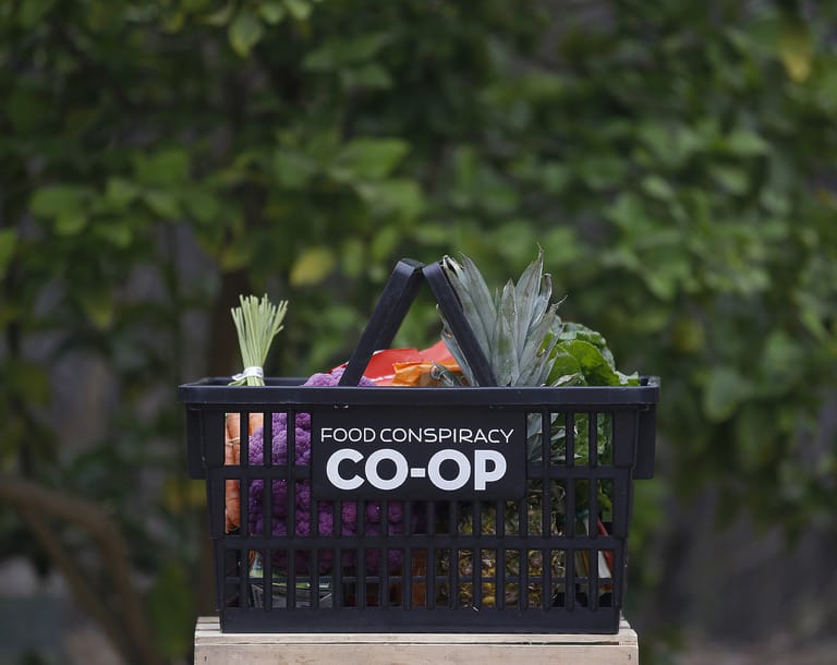 Basket of fresh produce from co-op market.