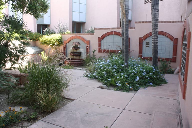 Serene courtyard with fountain and plants