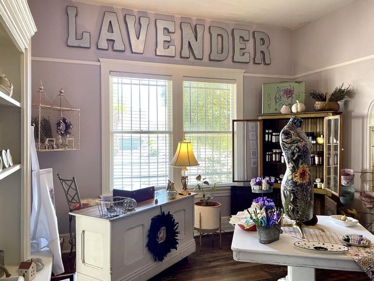 Life Under the Oaks Lavender Manor